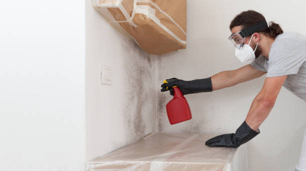 Professional Crawl Space Mold Removal technician working in Bozman, MD