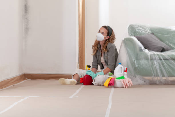 Reliable Crawl Space Mold Removal contractor in Bozman, MD by WQB Mold Removal