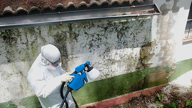 Top rated local Crawl Space Mold Removal specialists in Bozman, MD